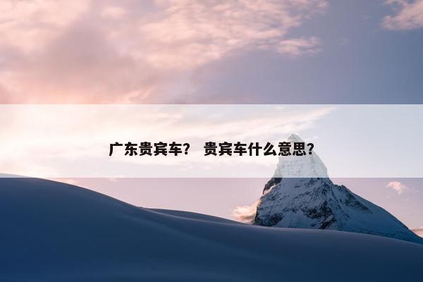广东贵宾车？ 贵宾车什么意思？