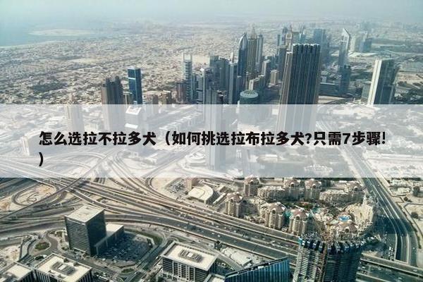 怎么选拉不拉多犬（如何挑选拉布拉多犬?只需7步骤!）