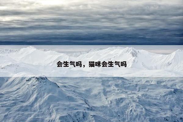 会生气吗,猫咪会生气吗