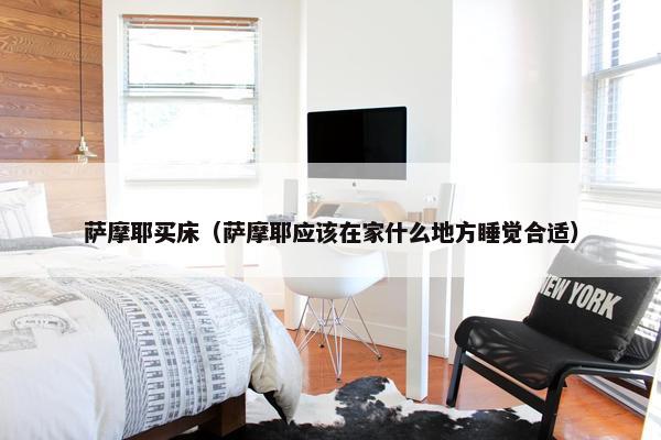 萨摩耶买床(萨摩耶应该在家什么地方睡觉合适)