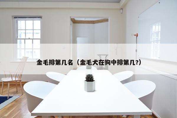 金毛排第几名（金毛犬在狗中排第几?）