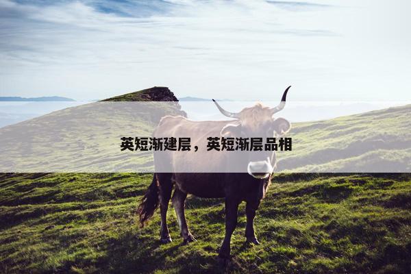 英短渐建层，英短渐层品相