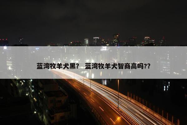 蓝湾牧羊犬黑？ 蓝湾牧羊犬智商高吗?？