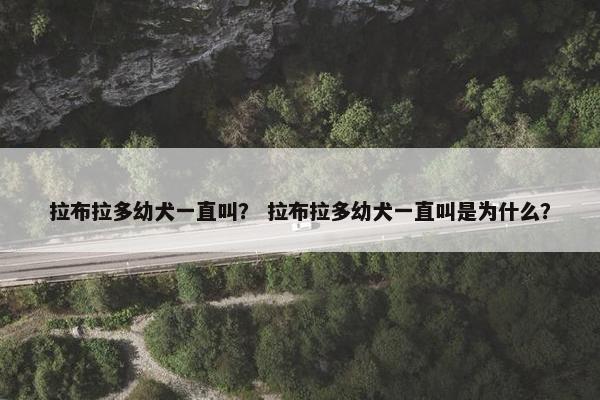 拉布拉多幼犬一直叫？ 拉布拉多幼犬一直叫是为什么？
