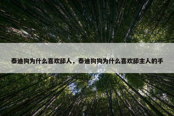 泰迪狗为什么喜欢舔人，泰迪狗狗为什么喜欢舔主人的手