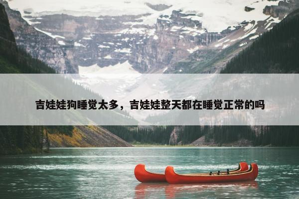 吉娃娃狗睡觉太多，吉娃娃整天都在睡觉正常的吗