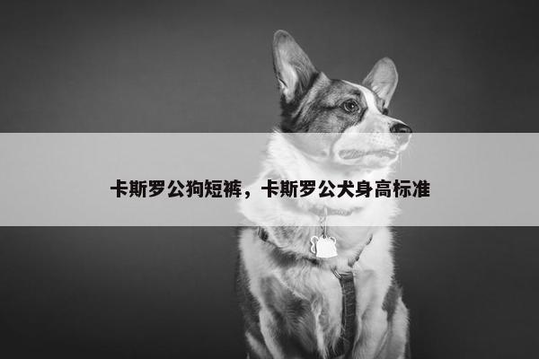 卡斯罗公狗短裤，卡斯罗公犬身高标准