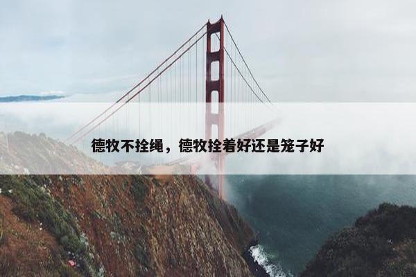 德牧不拴绳，德牧拴着好还是笼子好