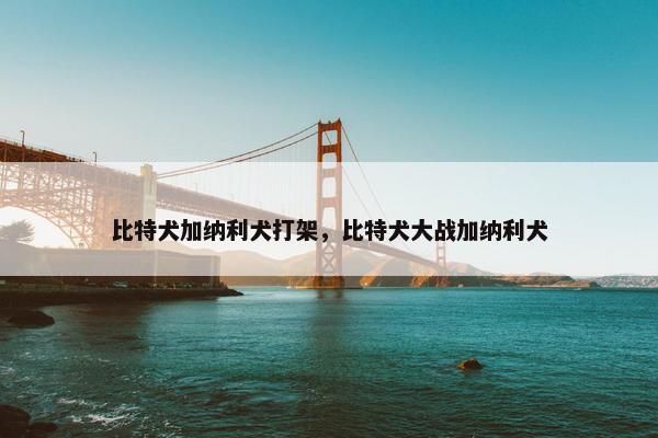 比特犬加纳利犬打架，比特犬大战加纳利犬