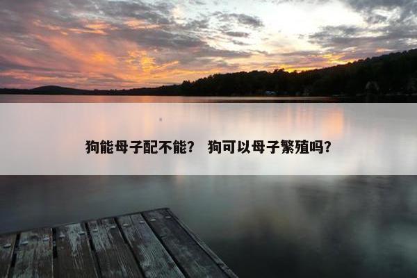 狗能母子配不能？ 狗可以母子繁殖吗？