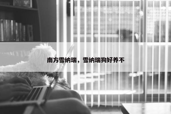 南方雪纳瑞,雪纳瑞狗好养不