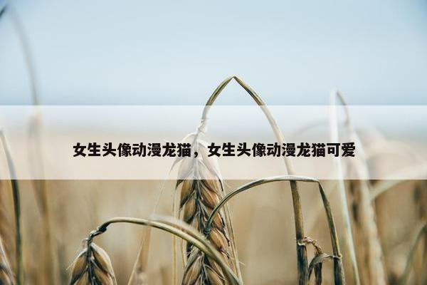 女生头像动漫龙猫,女生头像动漫龙猫可爱