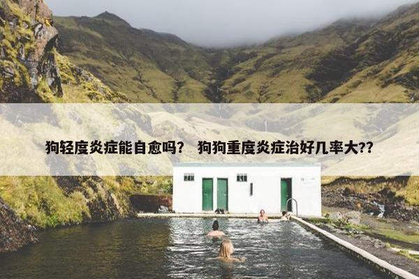 狗轻度炎症能自愈吗？ 狗狗重度炎症治好几率大?？