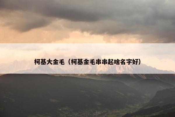 柯基大金毛（柯基金毛串串起啥名字好）