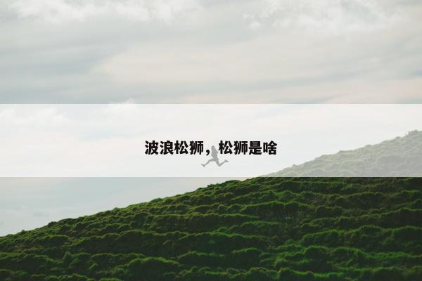 波浪松狮，松狮是啥