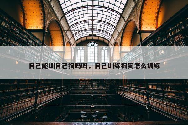 自己能训自己狗吗吗，自己训练狗狗怎么训练
