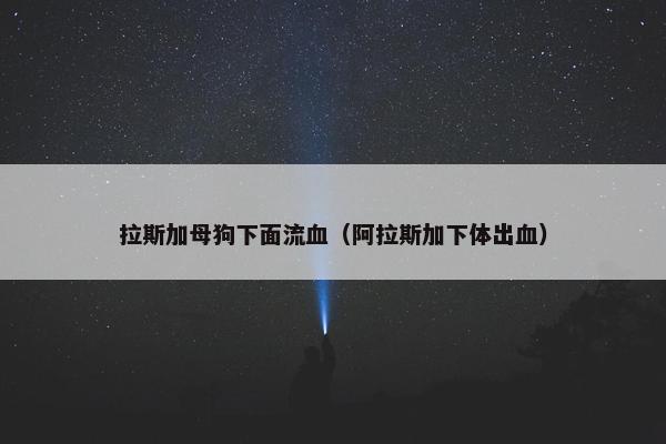 拉斯加母狗下面流血（阿拉斯加下体出血）