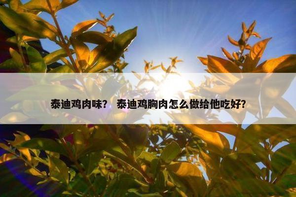泰迪鸡肉味？ 泰迪鸡胸肉怎么做给他吃好？