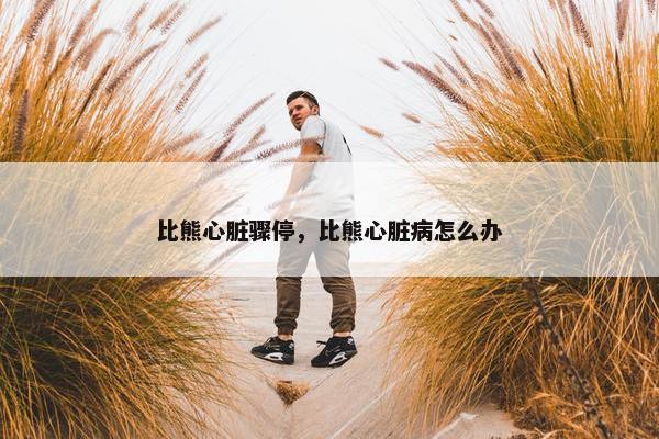 比熊心脏骤停,比熊心脏病怎么办