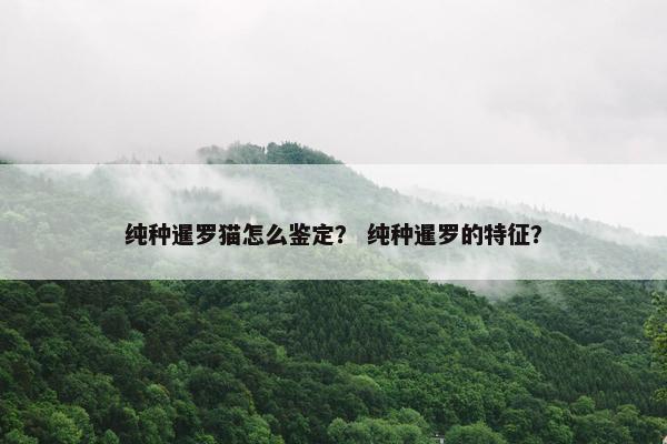 纯种暹罗猫怎么鉴定？ 纯种暹罗的特征？