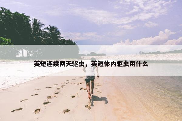 英短连续两天驱虫，英短体内驱虫用什么