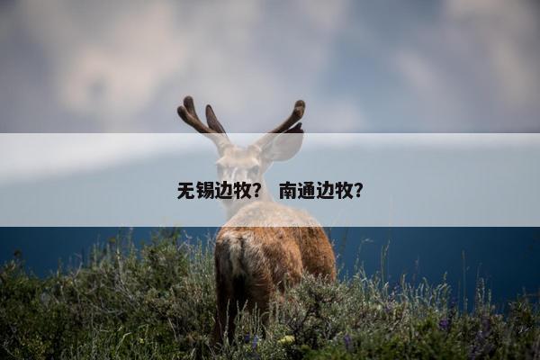 购票