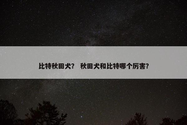比特秋田犬？ 秋田犬和比特哪个厉害？