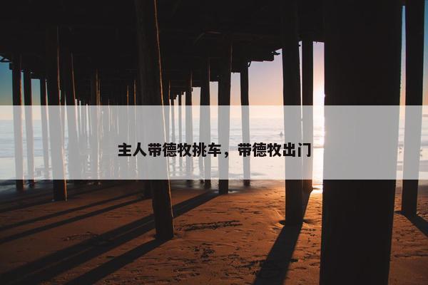 主人带德牧挑车，带德牧出门