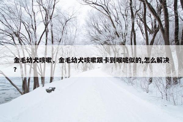 金毛幼犬咳嗽，金毛幼犬咳嗽跟卡到喉咙似的,怎么解决?