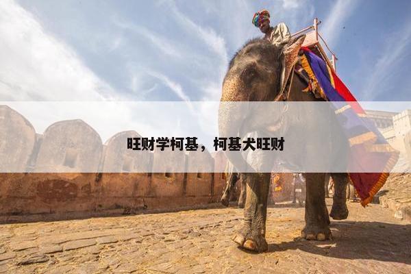 旺财学柯基，柯基犬旺财
