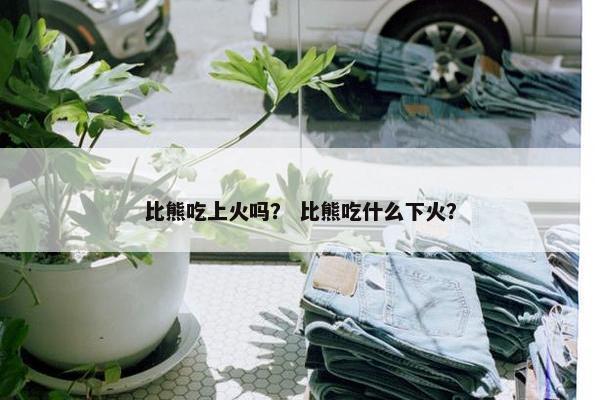比熊吃上火吗? 比熊吃什么下火?