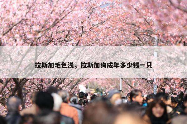拉斯加毛色浅，拉斯加狗成年多少钱一只