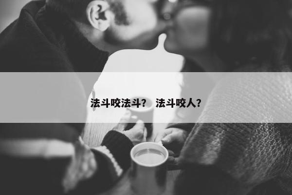 法斗咬法斗？ 法斗咬人？