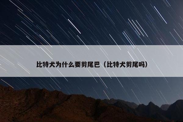 比特犬为什么要剪尾巴（比特犬剪尾吗）