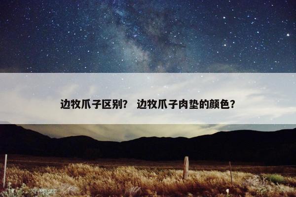 边牧爪子区别？ 边牧爪子肉垫的颜色？