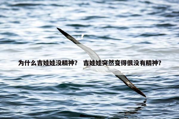 为什么吉娃娃没精神？ 吉娃娃突然变得很没有精神？