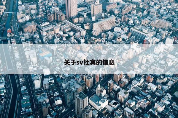 关于sv杜宾的信息