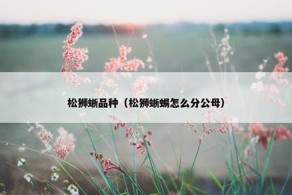 松狮蜥品种（松狮蜥蜴怎么分公母）