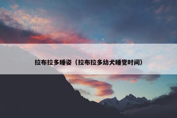 拉布拉多睡姿（拉布拉多幼犬睡觉时间）