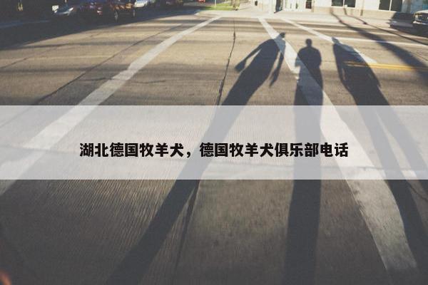 湖北德国牧羊犬,德国牧羊犬俱乐部电话