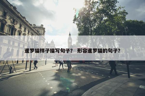 暹罗猫样子描写句子？ 形容暹罗猫的句子？