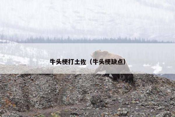 本土