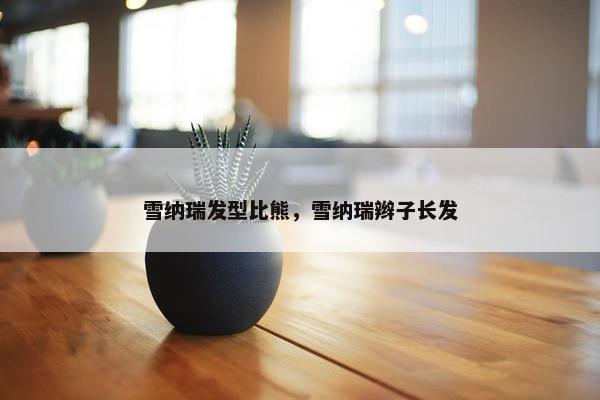 雪纳瑞发型比熊，雪纳瑞辫子长发