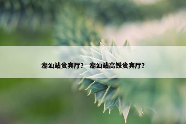 潮汕站贵宾厅？ 潮汕站高铁贵宾厅？
