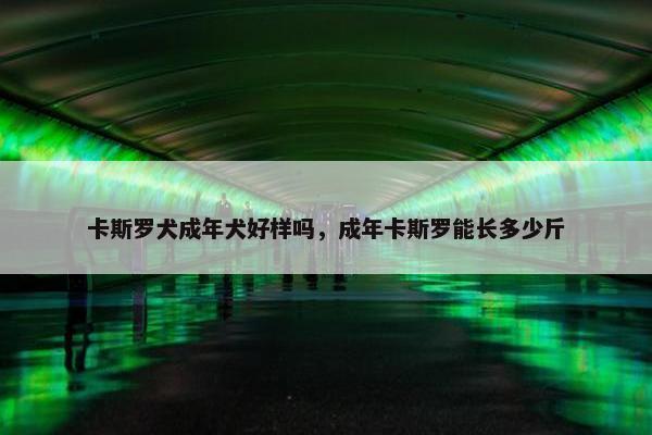 卡斯罗犬成年犬好样吗，成年卡斯罗能长多少斤