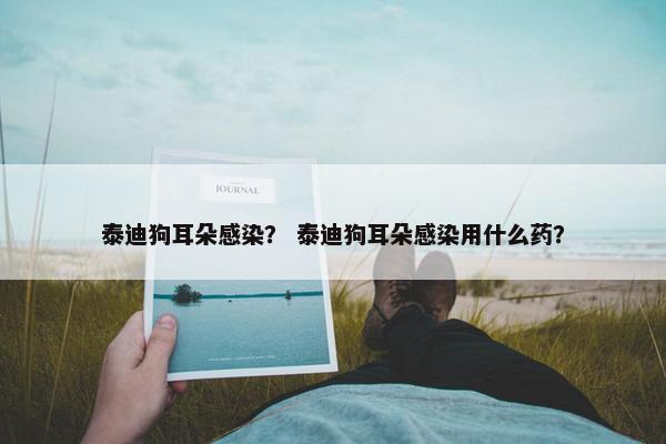 泰迪狗耳朵感染？ 泰迪狗耳朵感染用什么药？