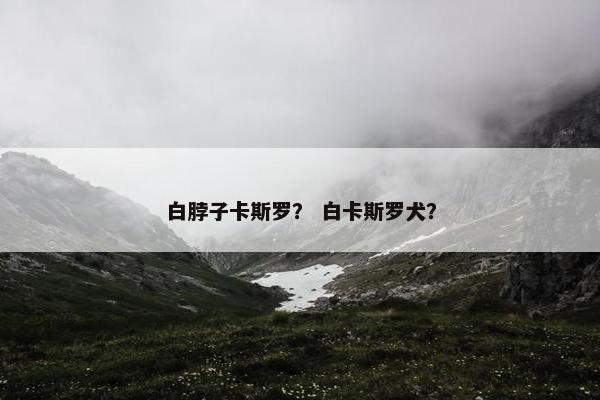 白脖子卡斯罗？ 白卡斯罗犬？