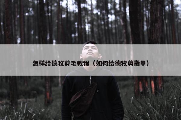 怎样给德牧剪毛教程（如何给德牧剪指甲）
