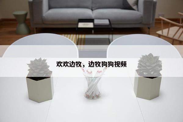 欢欢边牧，边牧狗狗视频
