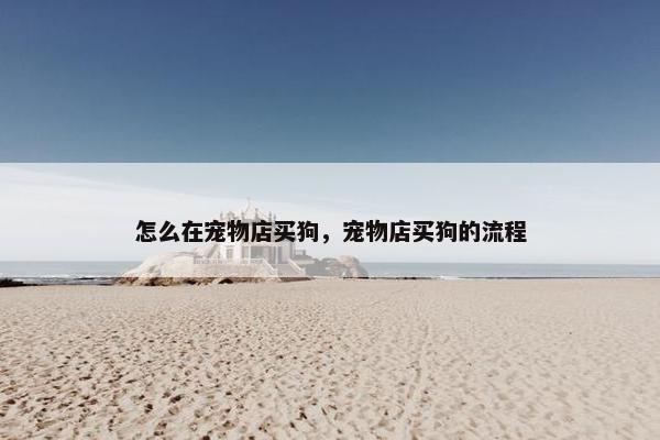 怎么在宠物店买狗，宠物店买狗的流程